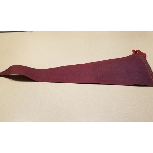 Vintage Carson City Catskill's New York felt pennant - Picture 5 of 7